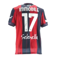 cover image of the auction item