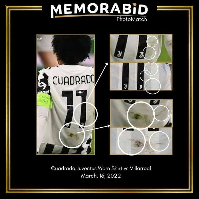 cover image of the auction item