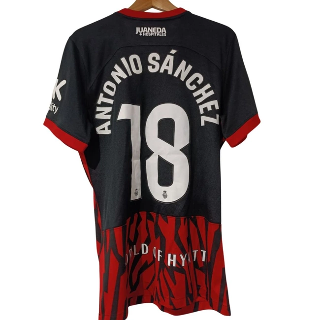 cover image of the auction item