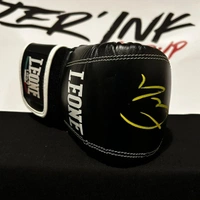 cover image of the auction item