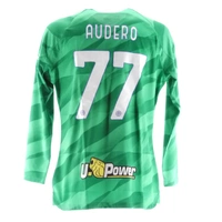 cover image of the auction item