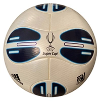 cover image of the auction item