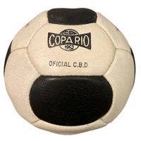 cover image of the auction item