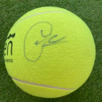 cover image of the auction item