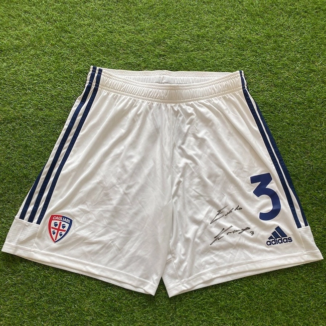 cover image of the auction item