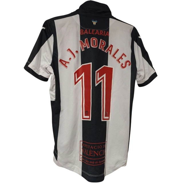 cover image of the auction item