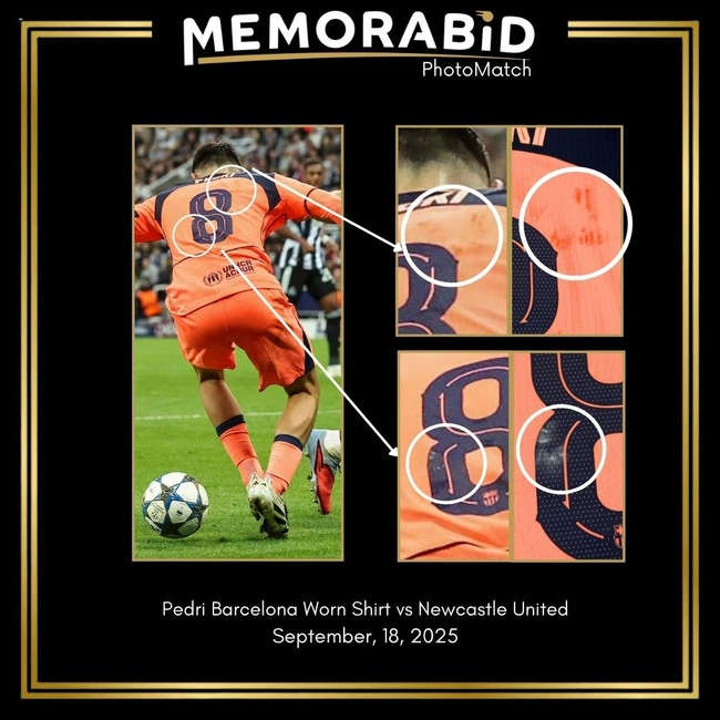 cover image of the auction item