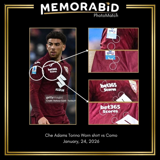 cover image of the auction item