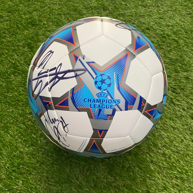 cover image of the auction item