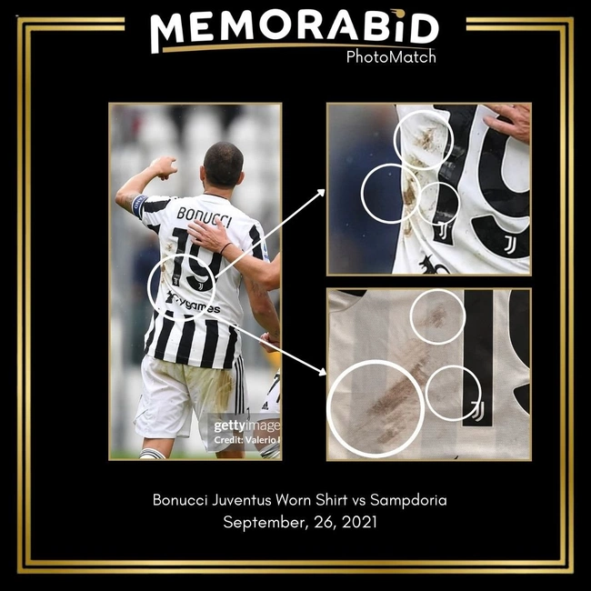 cover image of the auction item