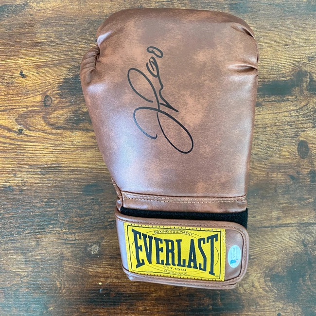 cover image of the auction item