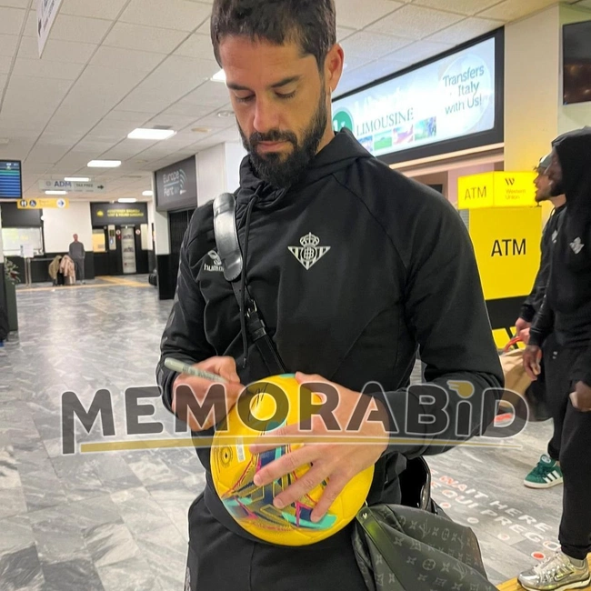 cover image of the auction item