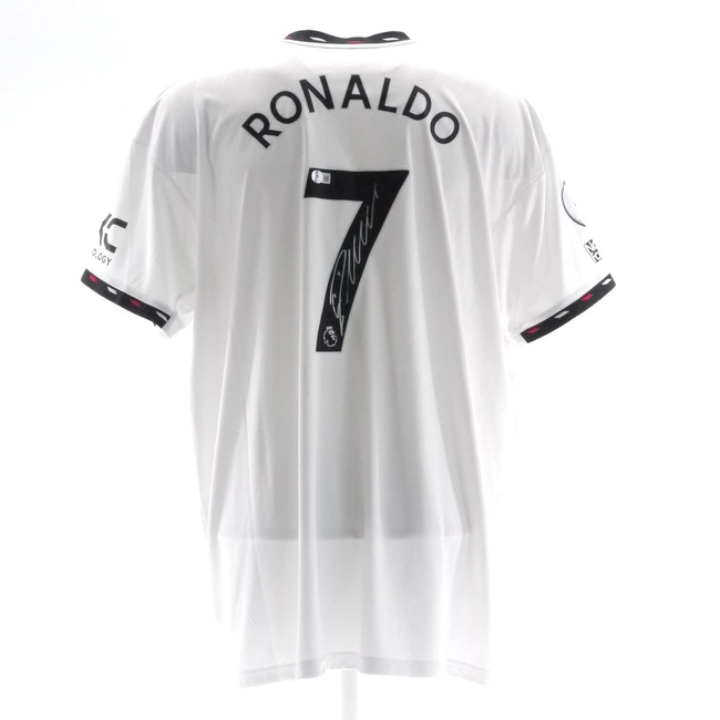 cover image of the auction item