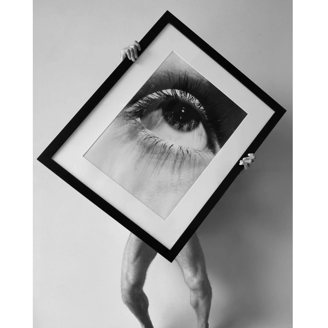 cover image of the auction item