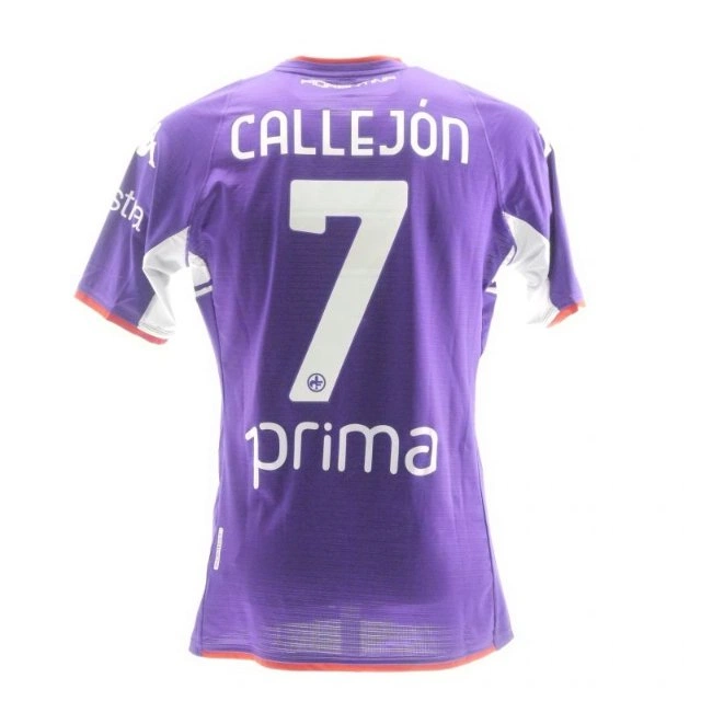 cover image of the auction item