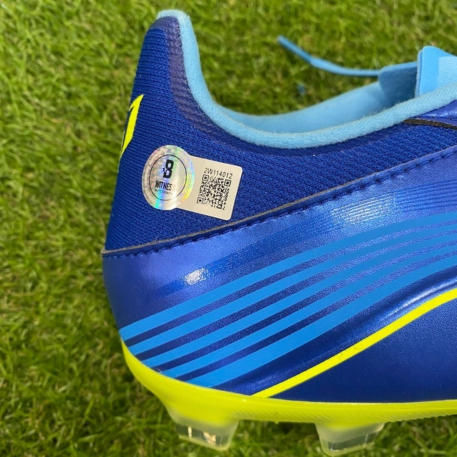 cover image of the auction item