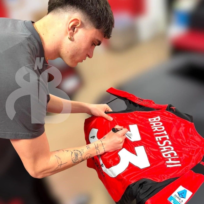 cover image of the auction item