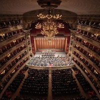 cover image of the auction item