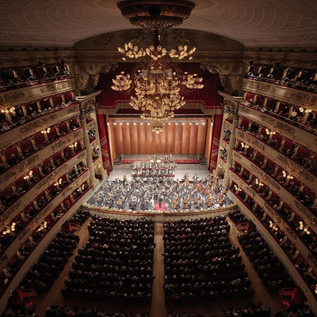 cover image of the auction item