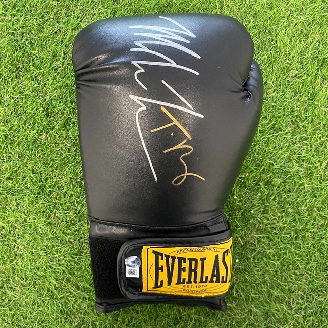 cover image of the auction item