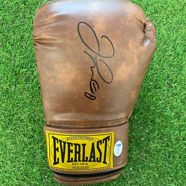 cover image of the auction item