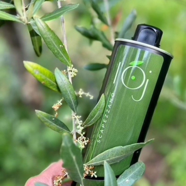 cover image of the auction item