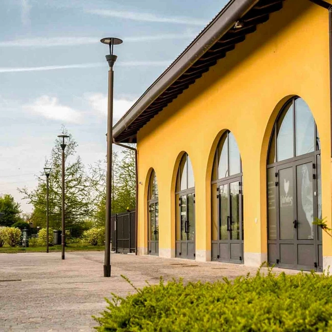 cover image of the auction item