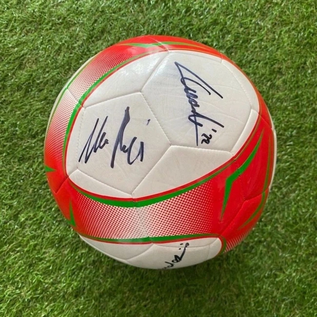 cover of the auction item