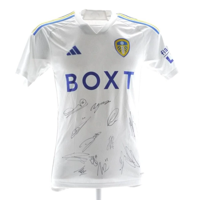 cover of the auction item
