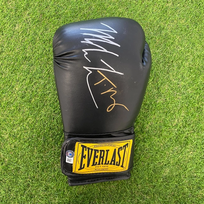 cover image of the auction item