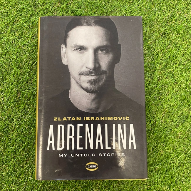 cover image of the auction item