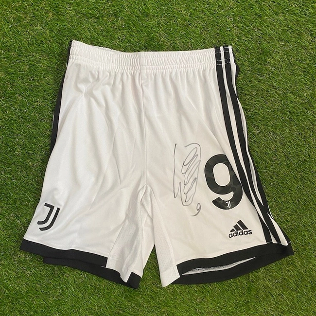 cover image of the auction item