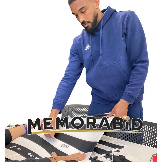 cover image of the auction item