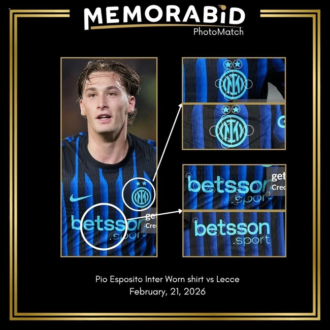 cover image of the auction item