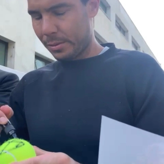 cover image of the auction item