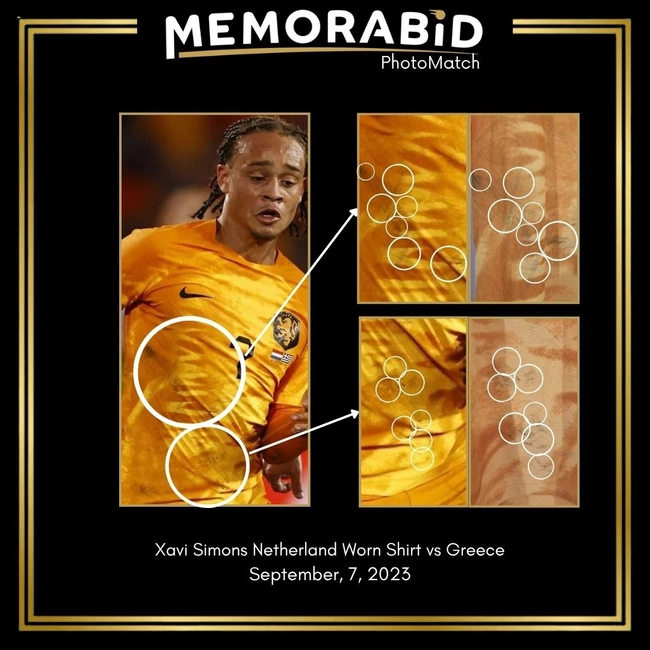 cover of the auction item