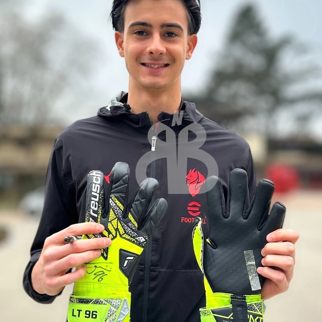 cover of the auction item