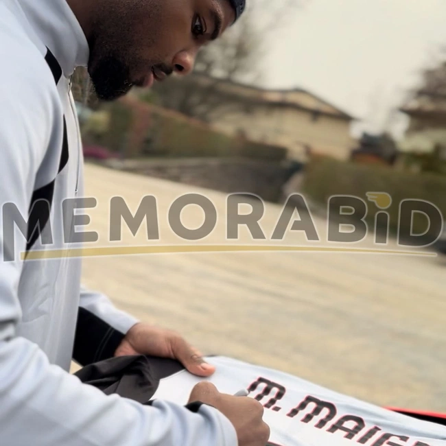 cover image of the auction item