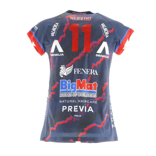 cover of the auction item