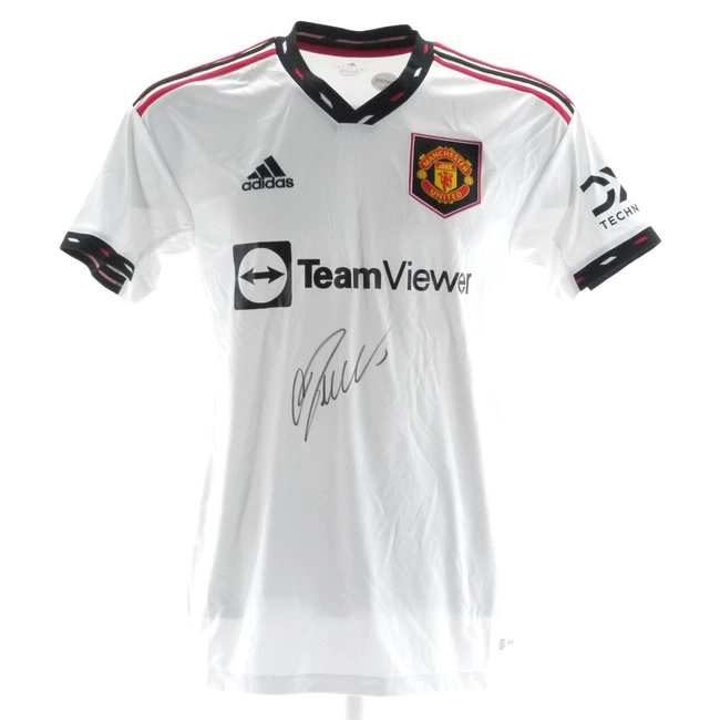 cover of the auction item