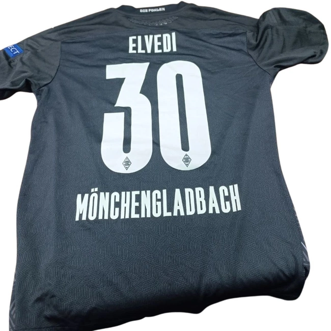 cover of the auction item