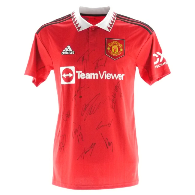 cover of the auction item