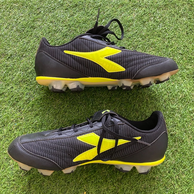 cover of the auction item