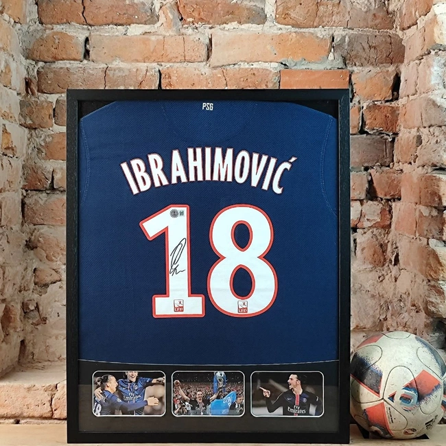 cover of the auction item