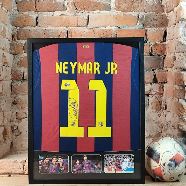 cover of the auction item