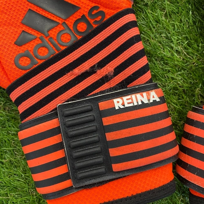 cover of the auction item