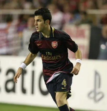 cover of the auction item