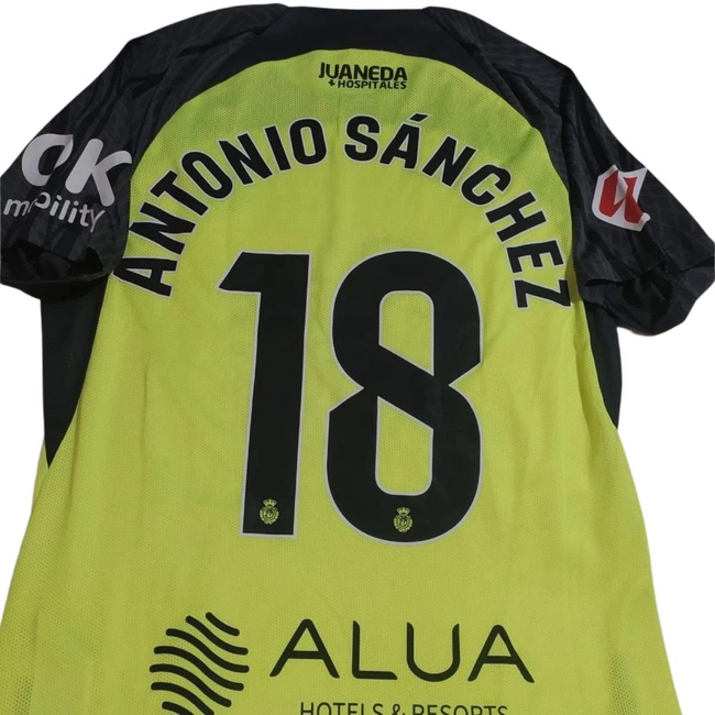 cover of the auction item