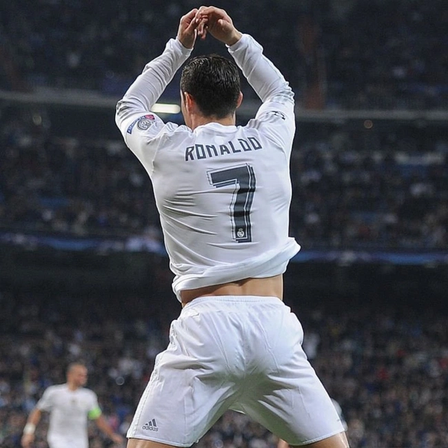 cover of the auction item