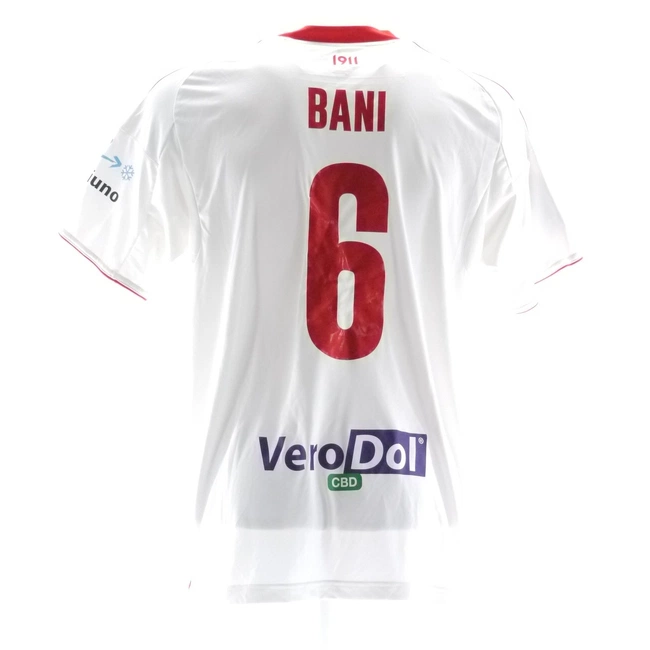 cover of the auction item